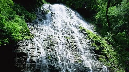 稳定性可靠性